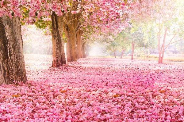 psycholog, psychoterapeuta 3 (1) psycholog, psychoterapeuta 3 (1)